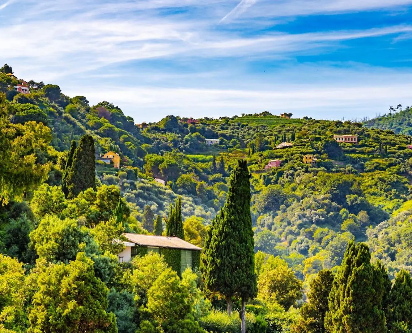 Portofino Finestra Sul Mare - Free Parking - Ac Apartment Italy
